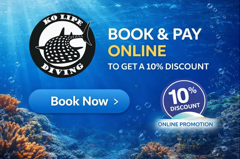 Online booking 10%